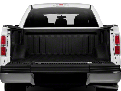 2010 Ford F-150 SVT Raptor