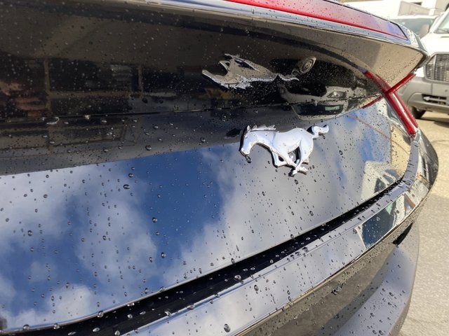 2026 Ford Mustang EcoBoost Premium Convertible