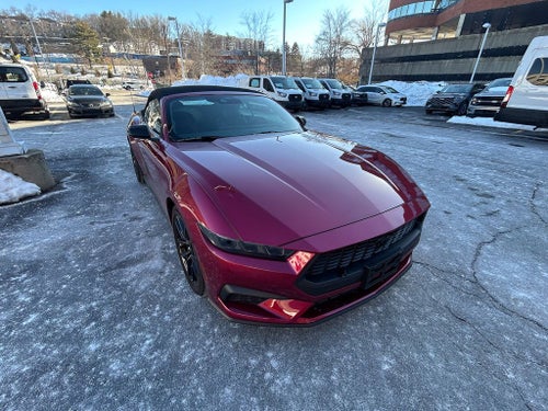 2025 Ford Mustang EcoBoost Premium