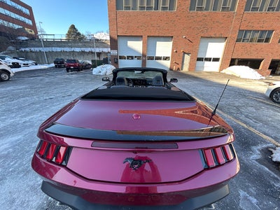 2025 Ford Mustang EcoBoost Premium