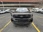 2025 Ford Expedition Active 4x4