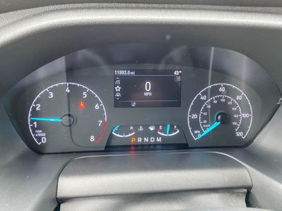 2024 Ford Transit Cargo Van T-250 130" Low Rf 9070 GVWR RWD