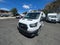 2024 Ford Transit Cargo Van T-250 130" Low Rf 9070 GVWR RWD