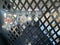 2024 Ford Transit Cargo Van T-250 130" Low Rf 9070 GVWR RWD
