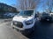 2023 Ford Transit Cargo Van T250 Low Roof