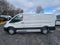2024 Ford Transit Cargo Van 250 Low Roof