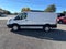 2025 Ford Transit-250 Base Low Roof