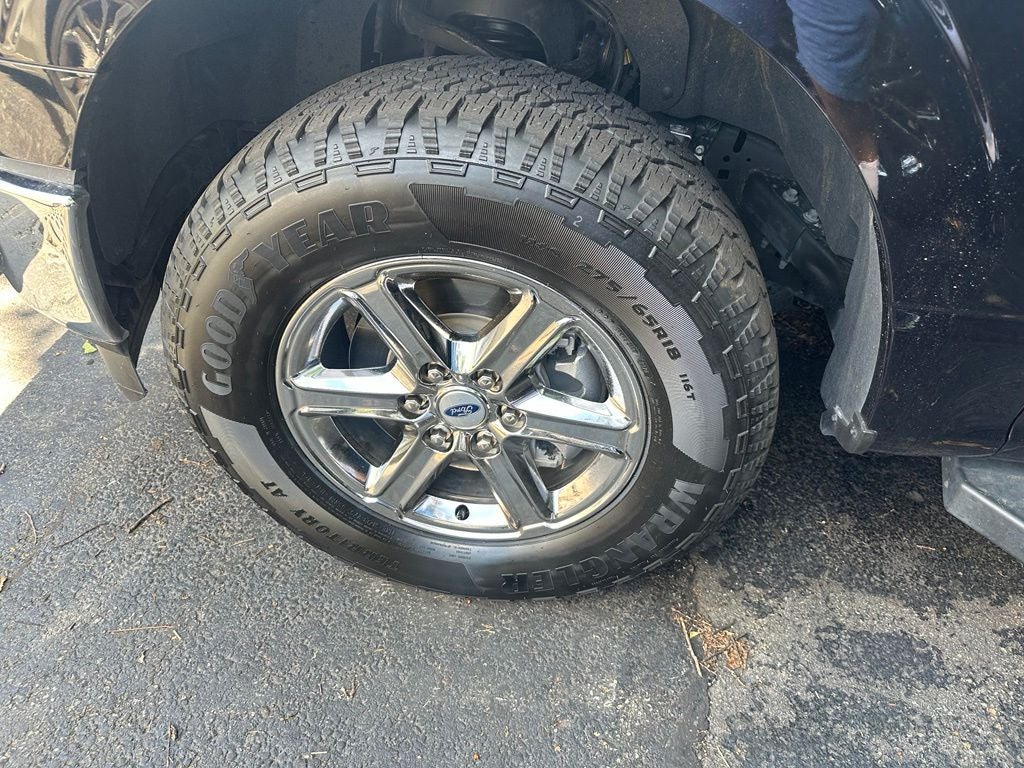 Photo 5